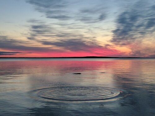 Lake,michigan,sunrise