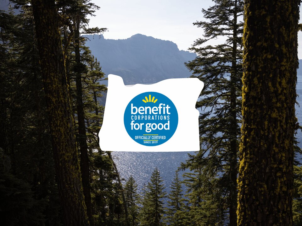 Benefit Corporation for good
